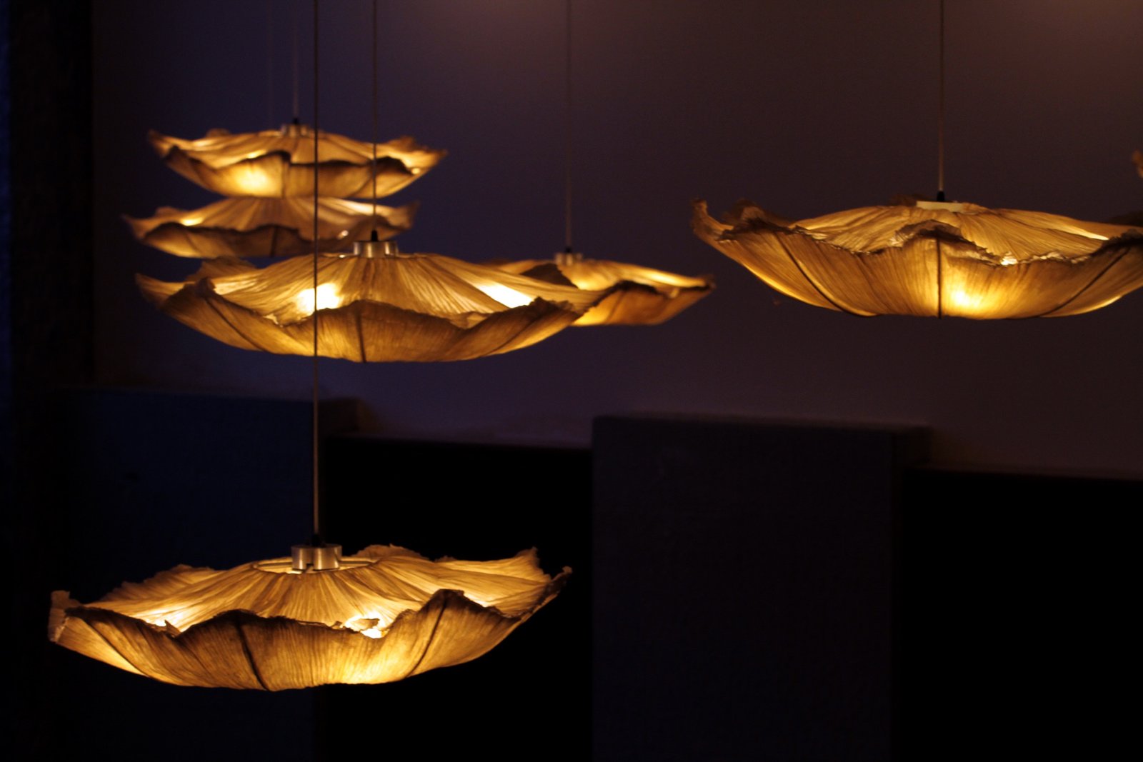 Lotus pendant lights in the lobby